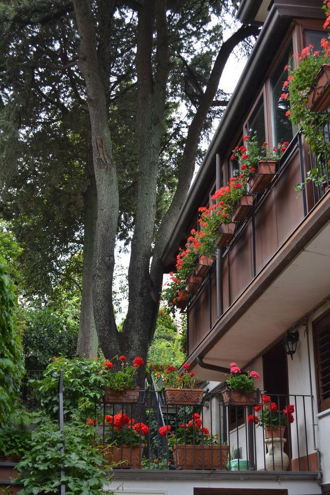 Villa Rosa Etna Apartments Zafferana Etnea Exterior foto